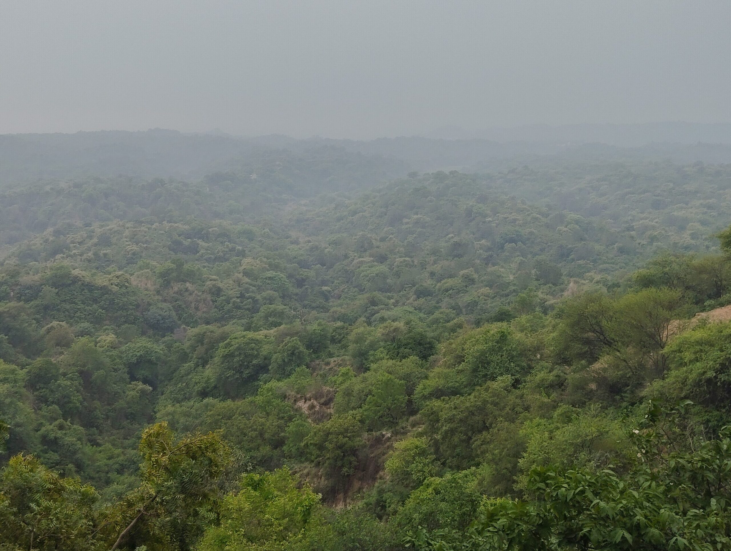 Proposed Site of Bulk Drug Park,District Una, H.P